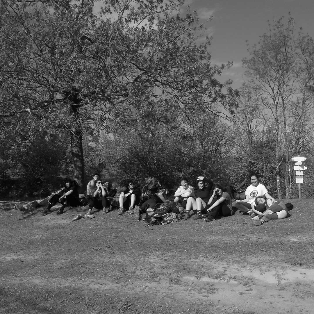 collage fotoscritture